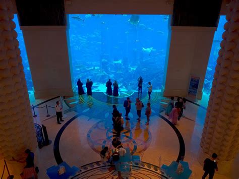 Massive Aquarium At Atlantis Resort In Dubai In The United Arab
