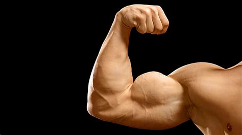 Tip Build Bigger Biceps With Isometrics