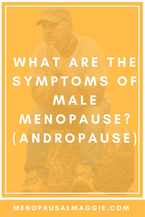 Pin On Menopausal Maggie A Guide To Surviving The Symptoms Of Menopause