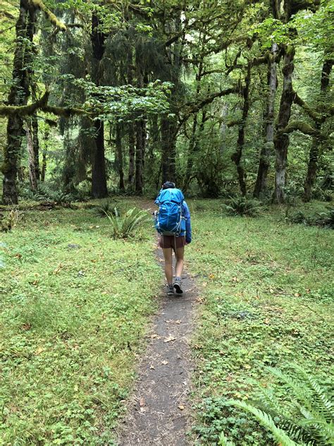 Exploring The Incredible Hoh Rainforest In Olympic National Park R