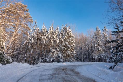 Winter Country Road Stock Photo Image Of Street Trees 138491054