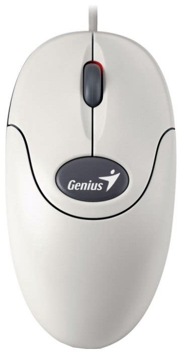 Мышь Genius Netscroll 110 White Ps2 — купить в интернет магазине по