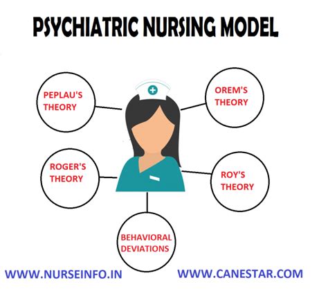 Nursing Model Nurse Info