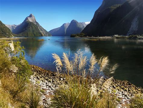 New Zealand Scenic Fjord Landscape Milford Sound Stock Photo Image