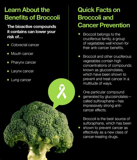 Whats The Connection Between Broccoli And Cancer Prevention The