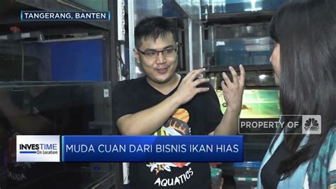 Masih Muda Cuan Dari Bisnis Ikan Hias Youtube