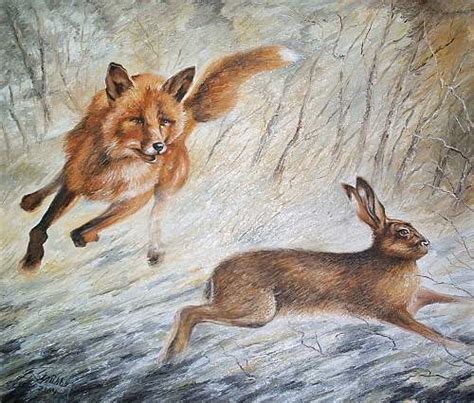 Wolf Chasing Rabbit