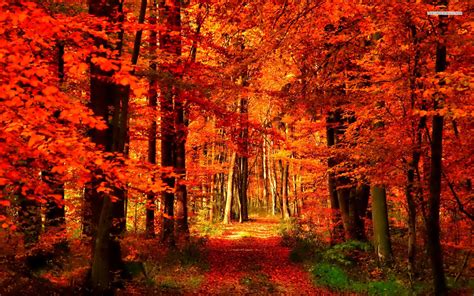 The Meaning And Symbolism Of The Word Autumn
