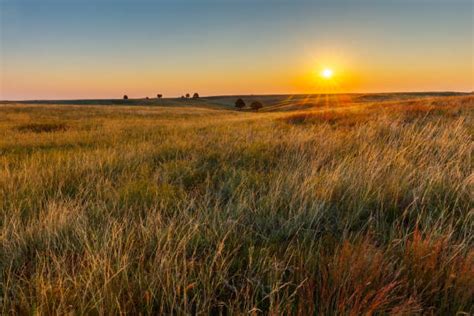New Prairie Grasslands Conservation Initiative Launched The
