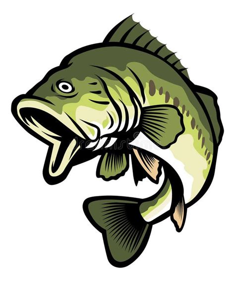 Largemouth Bass Vector Of Largemouth Bass Fish Suitable For Fishing