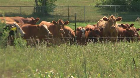 Us Agriculture Secretary Visits Mn As States Drought Worsens Youtube