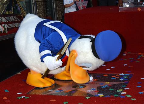 Donald Duck Disneys Berühmter Erpel Wird 80 Der Spiegel
