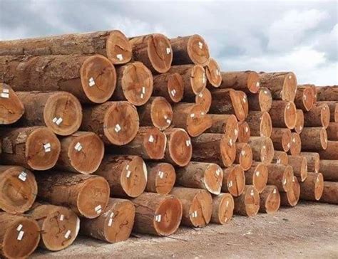Teak Wood Logs Feature Accurate Dimension High Strength Length 3 8 Feet At Best Price In