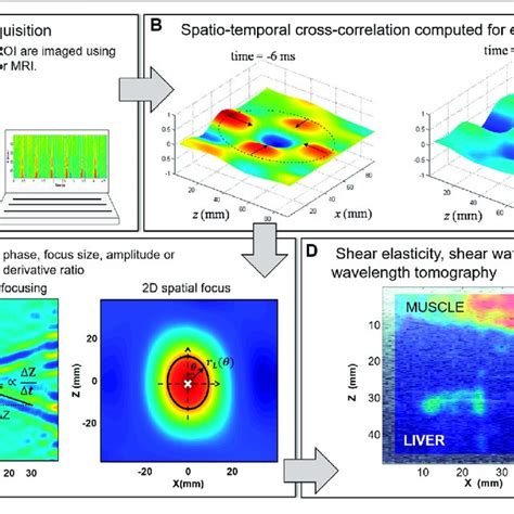 Pdf Shear Wave Elastography Based On Noise Correlation And Time Reversal