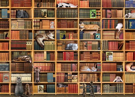 1024 x 1024 jpeg 235 кб. The Cat Library, 1000 Pieces, Cobble Hill | Puzzle Warehouse