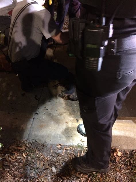 Top keywords from search engines: Puppy fatally burned in church parking lot fire • Pet ...
