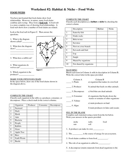 Dis science week 6 food chains grade/level: 5 Best Images of Food Chains Worksheet Full Sizes - Food ...