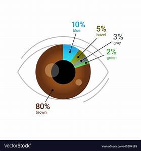 Eye Color Percentage Across The Globe Human Vector Image