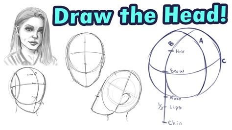 How To Draw The Head Looking Up Or As Seen From Below Artofit Vrogue
