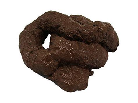 Deluxe Fake Lucy Dog Poop Realistic Fake Poop Toy Gags And Prank