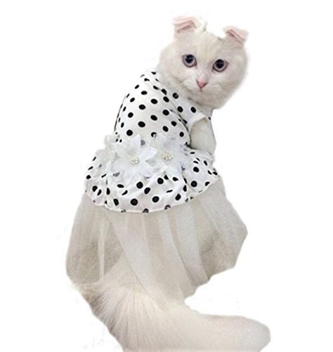 The Best Cat Costumes For Halloween Readers Digest