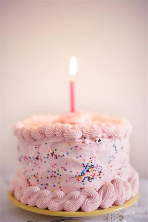 Pink Sprinkle Pink Birthday Cakes Birthday Cake With Candles Happy