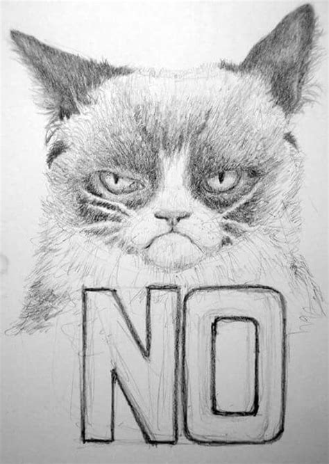 Sketch Of Grumpy Cat Grumpy Cat Animal Illustration Sketches