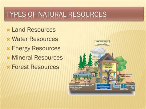 4 Types Of Resources