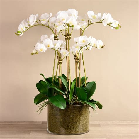 Large Faux White Orchid Arrangement In Glass Vase Vivian Rose Shop