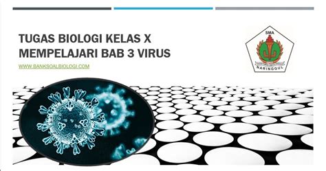 Tugas Biologi Kelas X Mempelajari Bab Virus Bsb