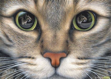 Cat Pencil Drawing Drawings Of All Types Pinterest