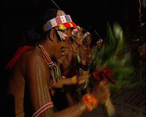 potret alam suku dan budaya mentawai di pulau siberut