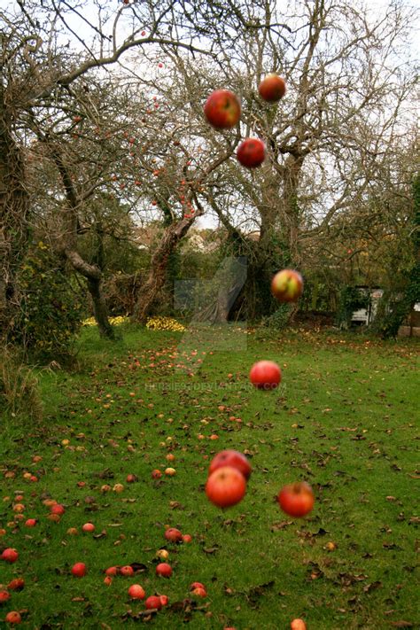 Falling Apples 2 By Herbie91 On Deviantart