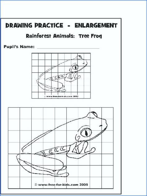Grid Drawing Worksheets Pdf At Explore Collection