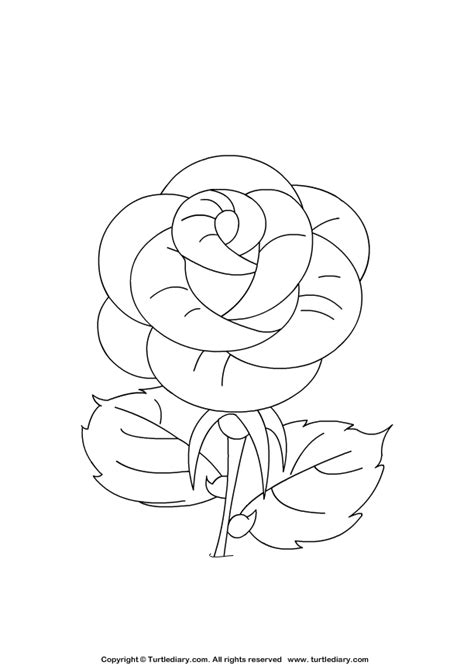 For boys and girls, kids and adults, teenagers and toddlers, preschoolers and older kids at school. Rose Coloring Sheet | Turtle Diary