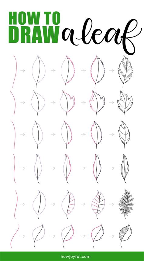 Drawing Leaves How To Draw Step By Step Doodle A Leaf Flower