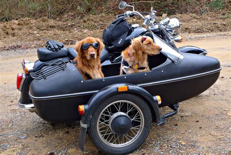 犬と一緒に、サイドカーを楽しむ！ Lawrence E Ride X Lifestyle α