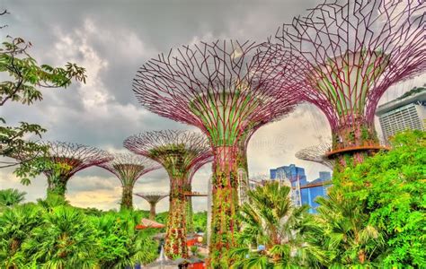 Gardens By The Bay A Nature Park In Singapore Stock Image Image Of