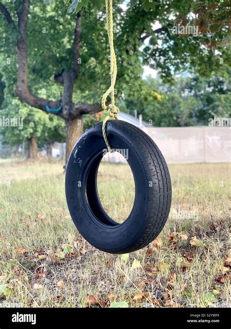 Tire Swing With A Rope Hanging From A Tree In Grand Forks British