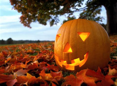 Download Halloween Pumpkin Pictures