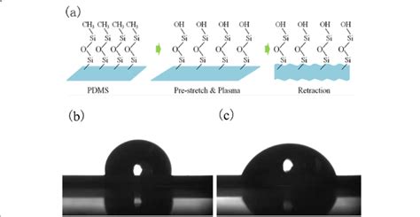 Water Contact Angle Of Pdms A Before And B After Oxygen Plasma