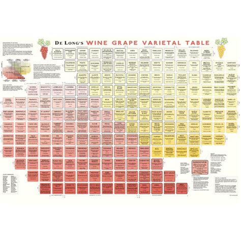 De Longs Wine Grape Varietal Table Chart 24 X 36 Etsy
