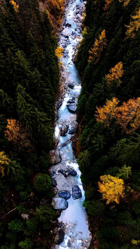 river forest flow aerial view  wallpaper
