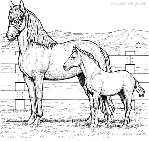 Realistic Free Printable Horse Coloring Pages