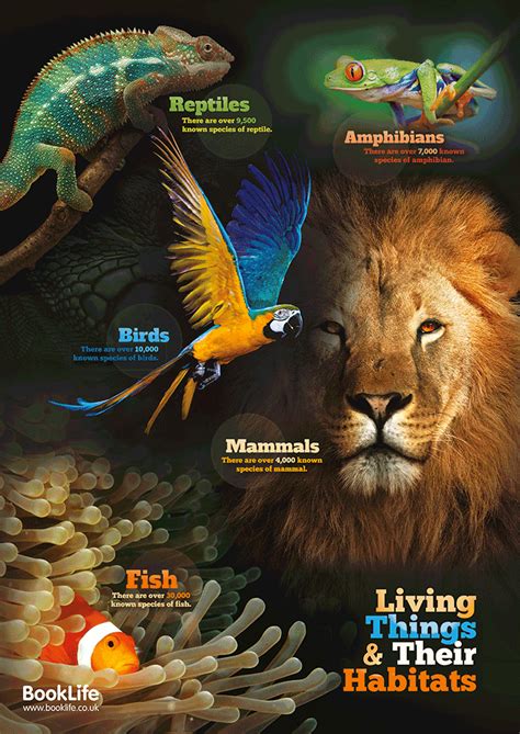 Living Things And Their Habitats Poster Booklife