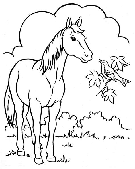 Desenhos De Cavalo Para Colorir Desenhos Para Colorir