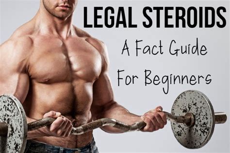Legal Steroids A Fact Guide For Beginners