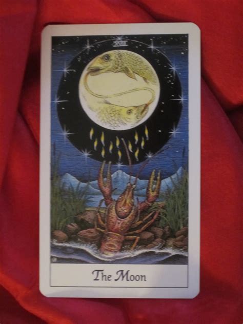 The Moon Tarot Card For Tuesday Daily Tarot Girl