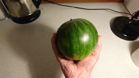 Guy Who Found A Tiny Watermelon Gets Scolded For Not Having A Banana