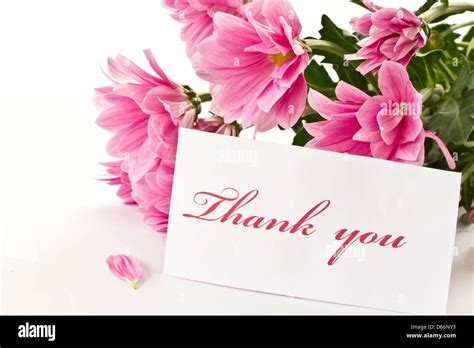 Say Thank You On A Background Of Beautiful Flowers Stock Photo Alamy